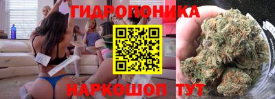 молекула духа Донской