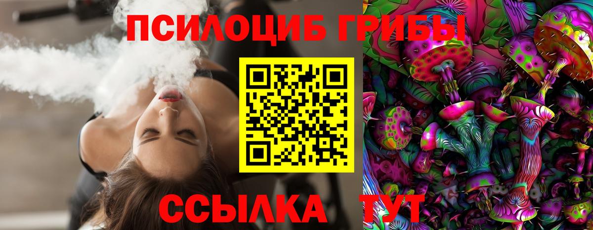 Псилоцибиновые грибы Psilocybe  Вход с VPN  Галлюциногенные грибы мухоморы  Михайловск 